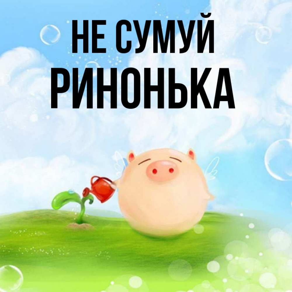 Открытка на каждый день з підписом, Ринонька Не сумуй поливает цветок порося Прикольна листівка з побажанням онлайн скачати безкоштовно 