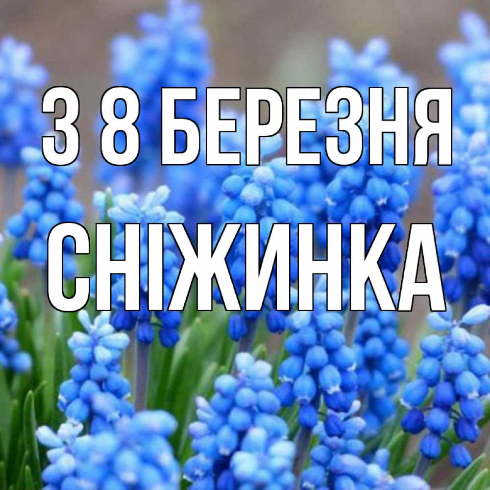 Открытка на каждый день з підписом, Сніжинка З 8 БЕРЕЗНЯ Поздравительная открытка для женщин с цветами на праздничную дату Прикольна листівка з побажанням онлайн скачати безкоштовно 