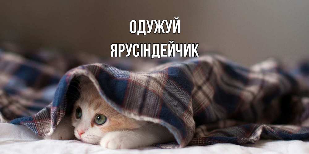 Открытка на каждый день з підписом, Ярусіндейчик Одужуй не болейте с котиком Прикольна листівка з побажанням онлайн скачати безкоштовно 