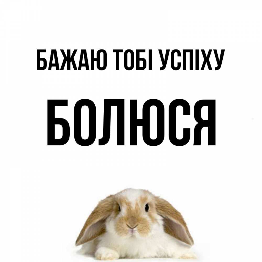 Открытка на каждый день з підписом, Болюся Бажаю тобі успіху открытки с произвольным текстом который можно вставить в открытку и создать ее самостоятельно бесплатно онлайн Прикольна листівка з побажанням онлайн скачати безкоштовно 