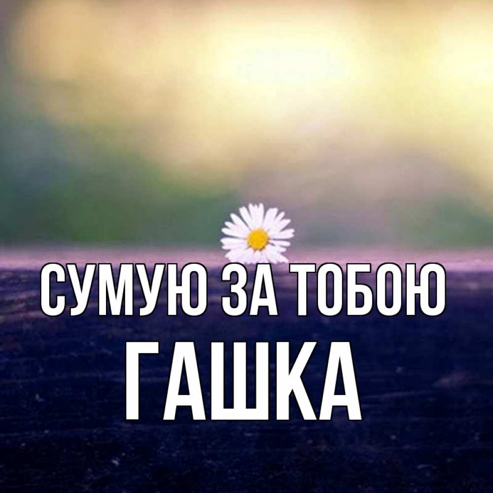 Открытка на каждый день з підписом, Гашка Сумую за тобою приходи в гости Прикольна листівка з побажанням онлайн скачати безкоштовно 