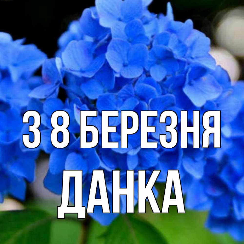 Открытка на каждый день з підписом, Данка З 8 БЕРЕЗНЯ синие цветы Прикольна листівка з побажанням онлайн скачати безкоштовно 
