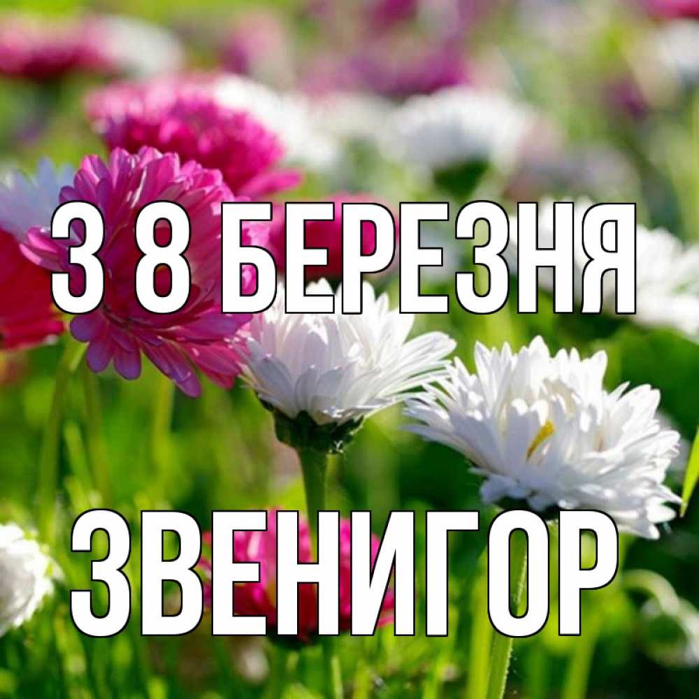Открытка на каждый день з підписом, Звенигор З 8 БЕРЕЗНЯ международный женский день 1 Прикольна листівка з побажанням онлайн скачати безкоштовно 