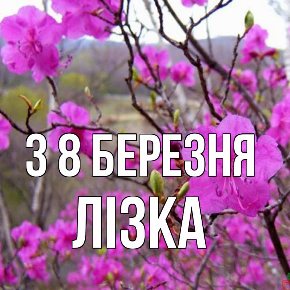 Открытка на каждый день з підписом, Лізка З 8 БЕРЕЗНЯ международный женский день Прикольна листівка з побажанням онлайн скачати безкоштовно 