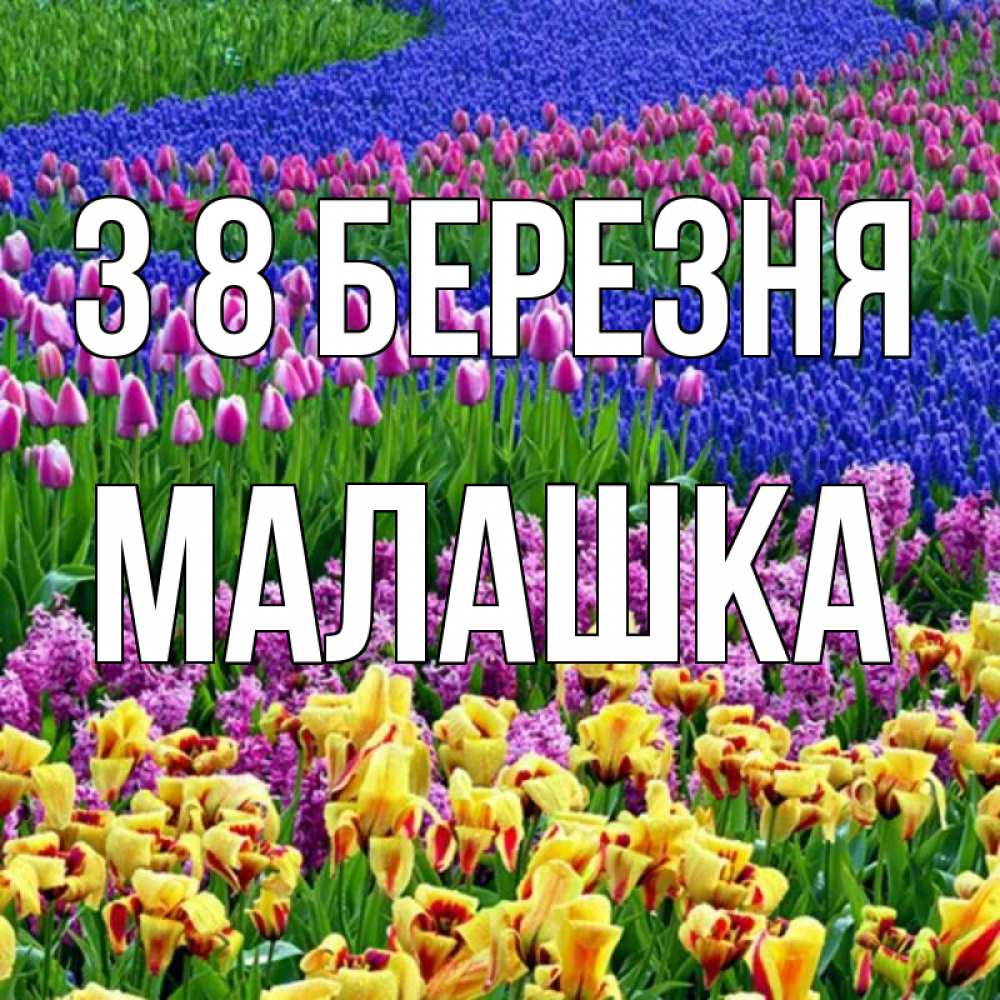 Открытка на каждый день з підписом, Малашка З 8 БЕРЕЗНЯ цветы Прикольна листівка з побажанням онлайн скачати безкоштовно 