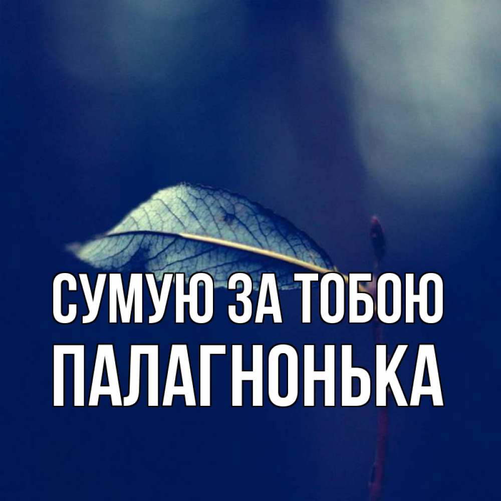 Открытка на каждый день з підписом, Палагнонька Сумую за тобою одна ветка 1 Прикольна листівка з побажанням онлайн скачати безкоштовно 
