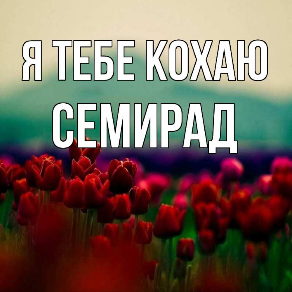 Открытка на каждый день з підписом, Семирад Я тебе кохаю тюльпаны 4 Прикольна листівка з побажанням онлайн скачати безкоштовно 