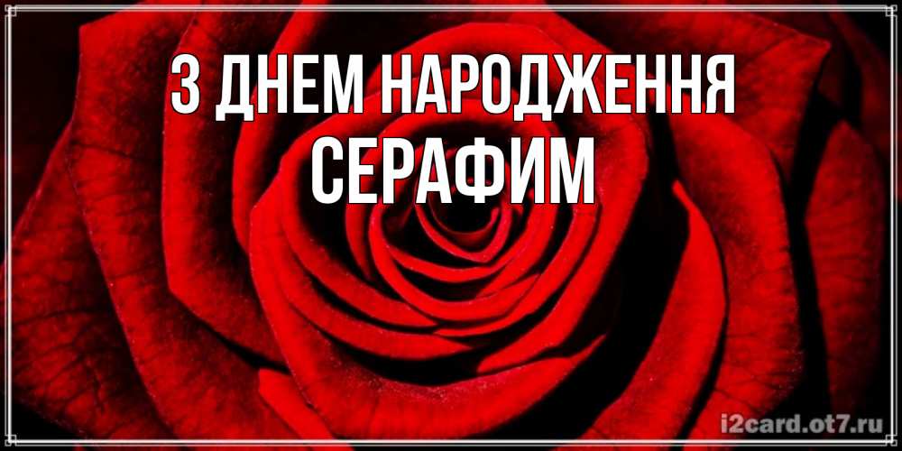 Открытка на каждый день з підписом, Серафим З Днем народження алая роза Прикольна листівка з побажанням онлайн скачати безкоштовно 