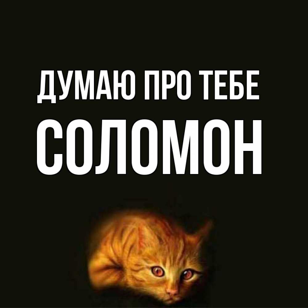 Открытка на каждый день з підписом, Соломон Думаю про тебе рыжий Прикольна листівка з побажанням онлайн скачати безкоштовно 