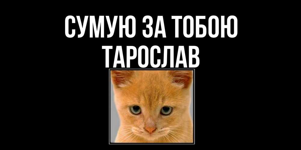 Открытка на каждый день з підписом, Тарослав Сумую за тобою открытки рыжий котенок скучает по тебе Прикольна листівка з побажанням онлайн скачати безкоштовно 