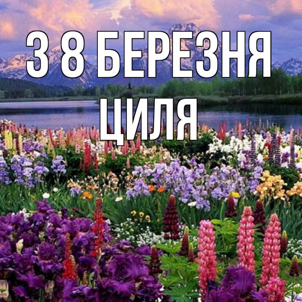 Открытка на каждый день з підписом, Циля З 8 БЕРЕЗНЯ международный женский день Прикольна листівка з побажанням онлайн скачати безкоштовно 