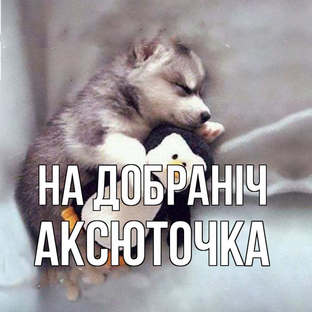 Открытка на каждый день з підписом, Аксюточка На добраніч обнимашки щенка и пингвина Прикольна листівка з побажанням онлайн скачати безкоштовно 