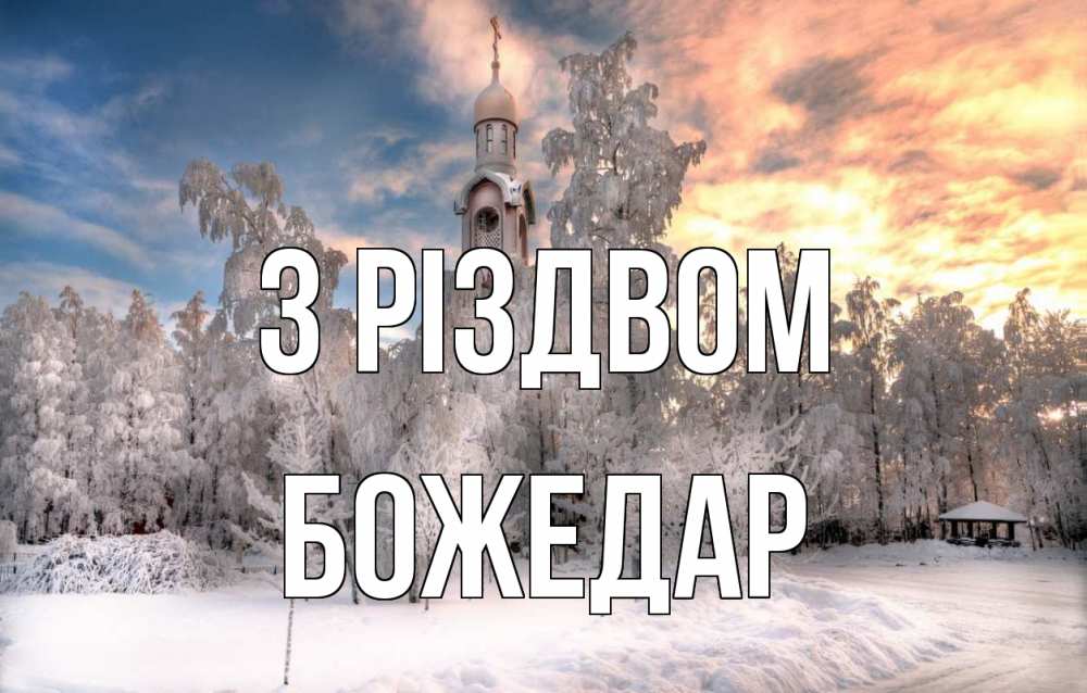 Открытка на каждый день з підписом, Божедар З Різдвом лес, зима 2 Прикольна листівка з побажанням онлайн скачати безкоштовно 