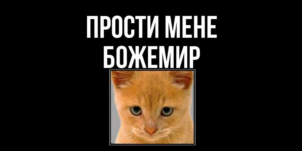Открытка на каждый день з підписом, Божемир Прости мене рыжий грустный кот просит прощения Прикольна листівка з побажанням онлайн скачати безкоштовно 