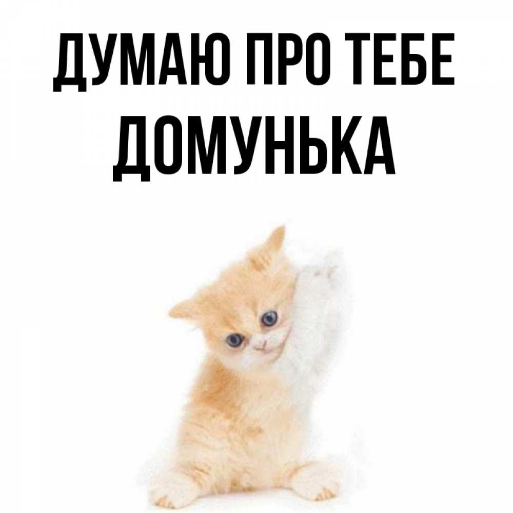 Открытка на каждый день з підписом, Домунька Думаю про тебе зверушки и милота Прикольна листівка з побажанням онлайн скачати безкоштовно 