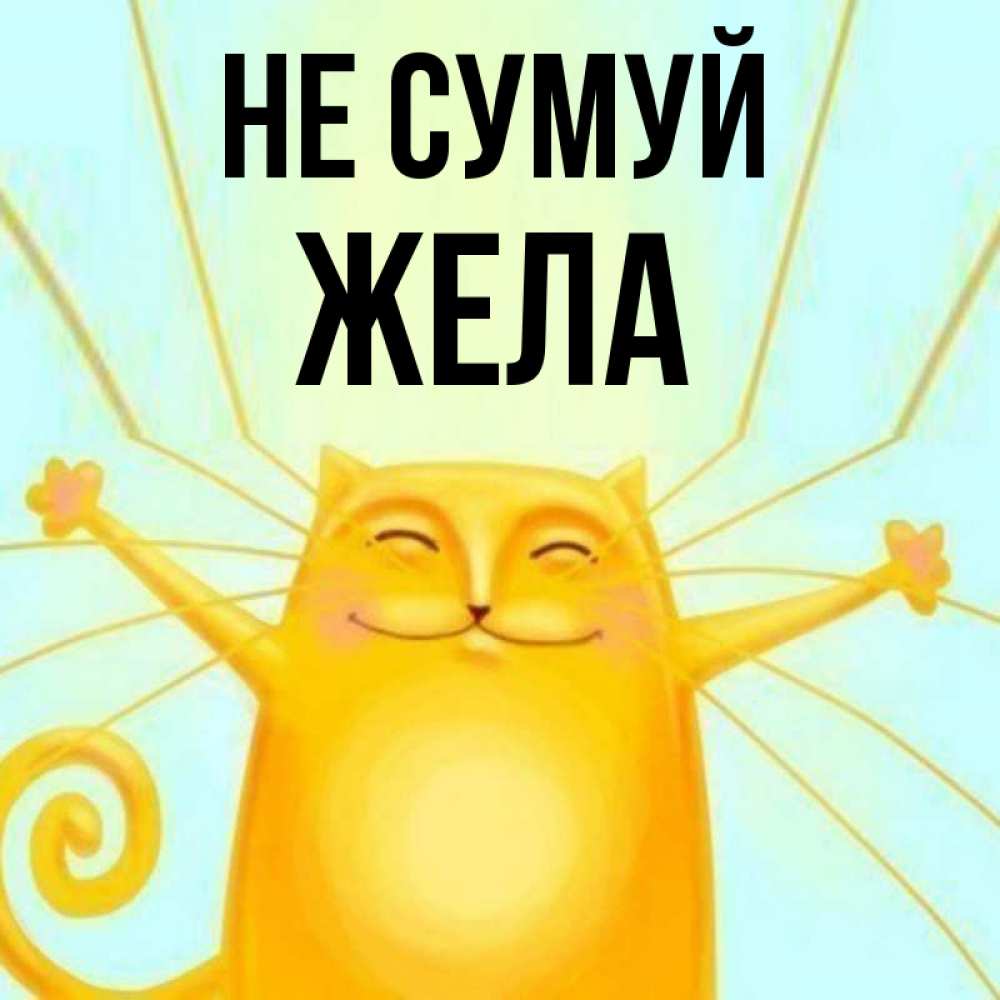 Открытка на каждый день з підписом, Жела Не сумуй обнимашки усатые Прикольна листівка з побажанням онлайн скачати безкоштовно 