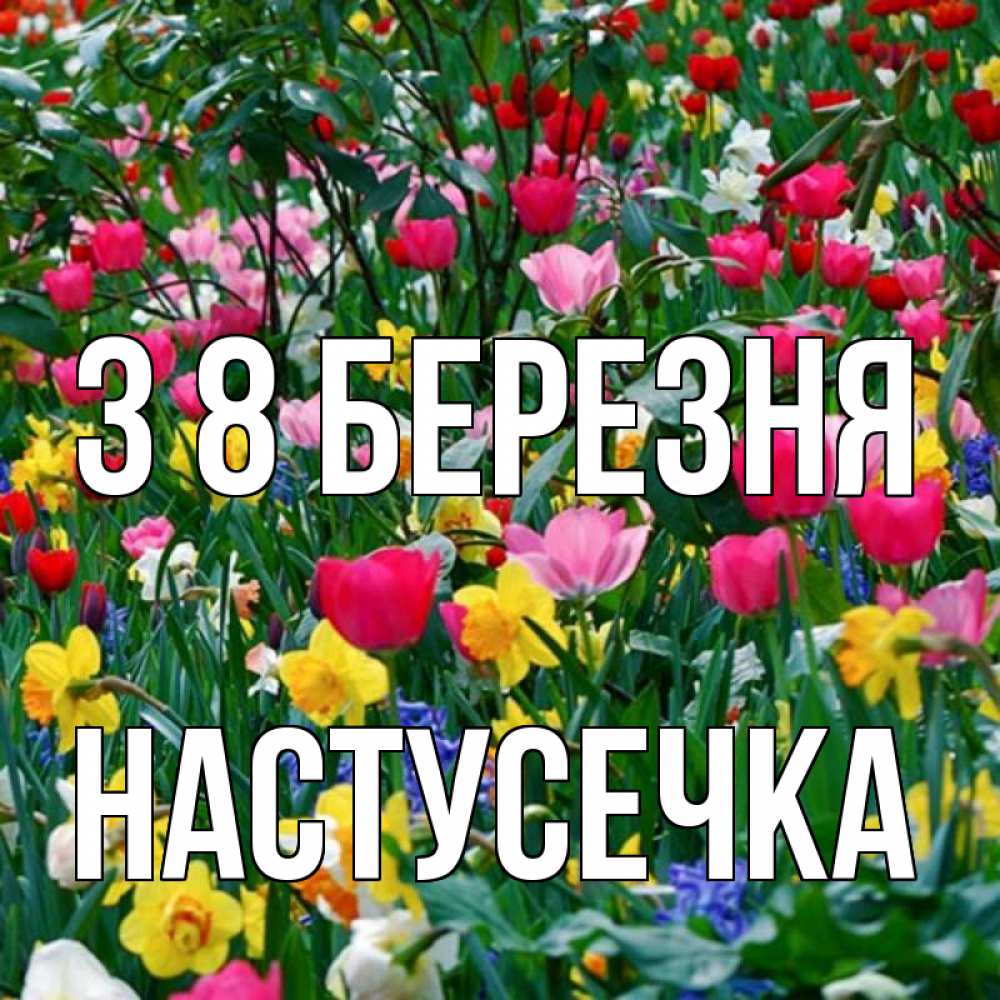 Открытка на каждый день з підписом, Настусечка З 8 БЕРЕЗНЯ с международным женским днем поздравления для женщины Прикольна листівка з побажанням онлайн скачати безкоштовно 