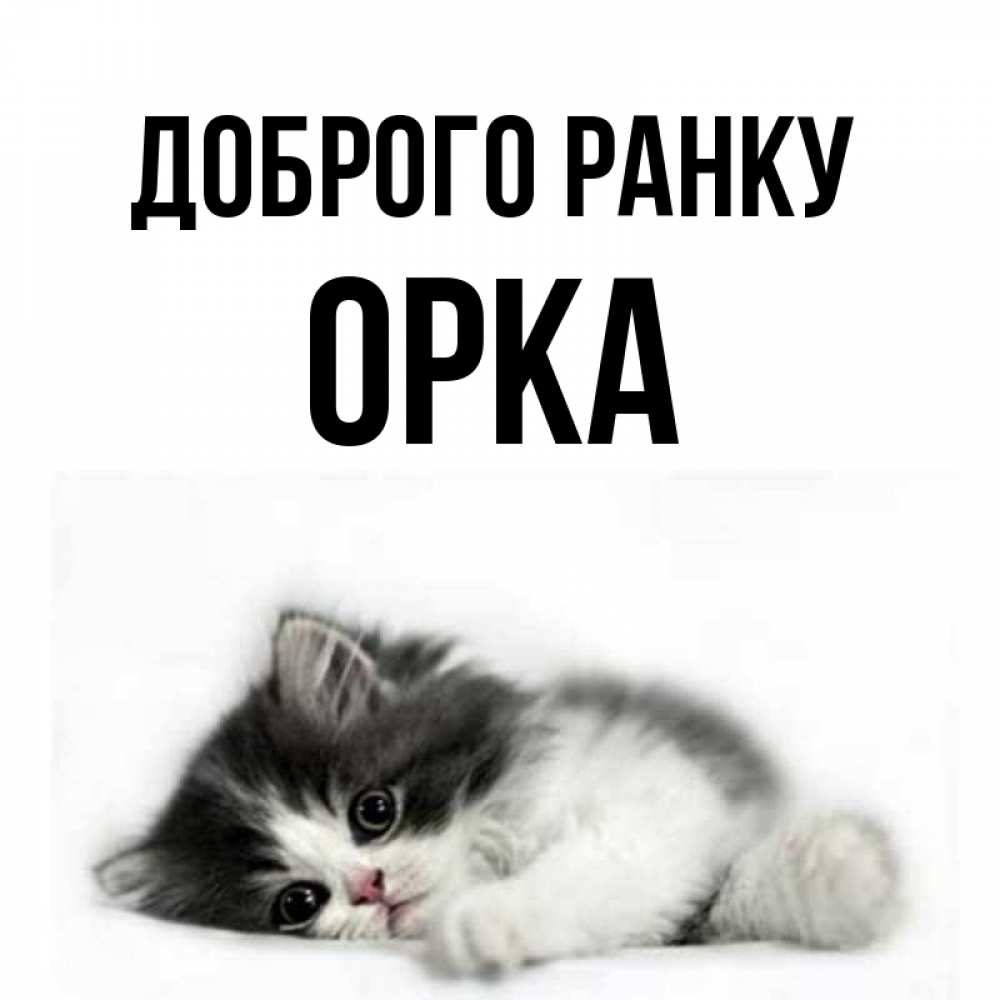 Открытка на каждый день з підписом, Орка Доброго ранку кот лапки Прикольна листівка з побажанням онлайн скачати безкоштовно 