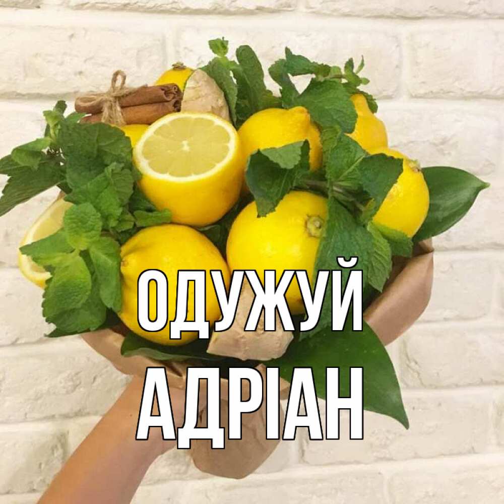Открытка на каждый день з підписом, Адріан Одужуй витамины Прикольна листівка з побажанням онлайн скачати безкоштовно 