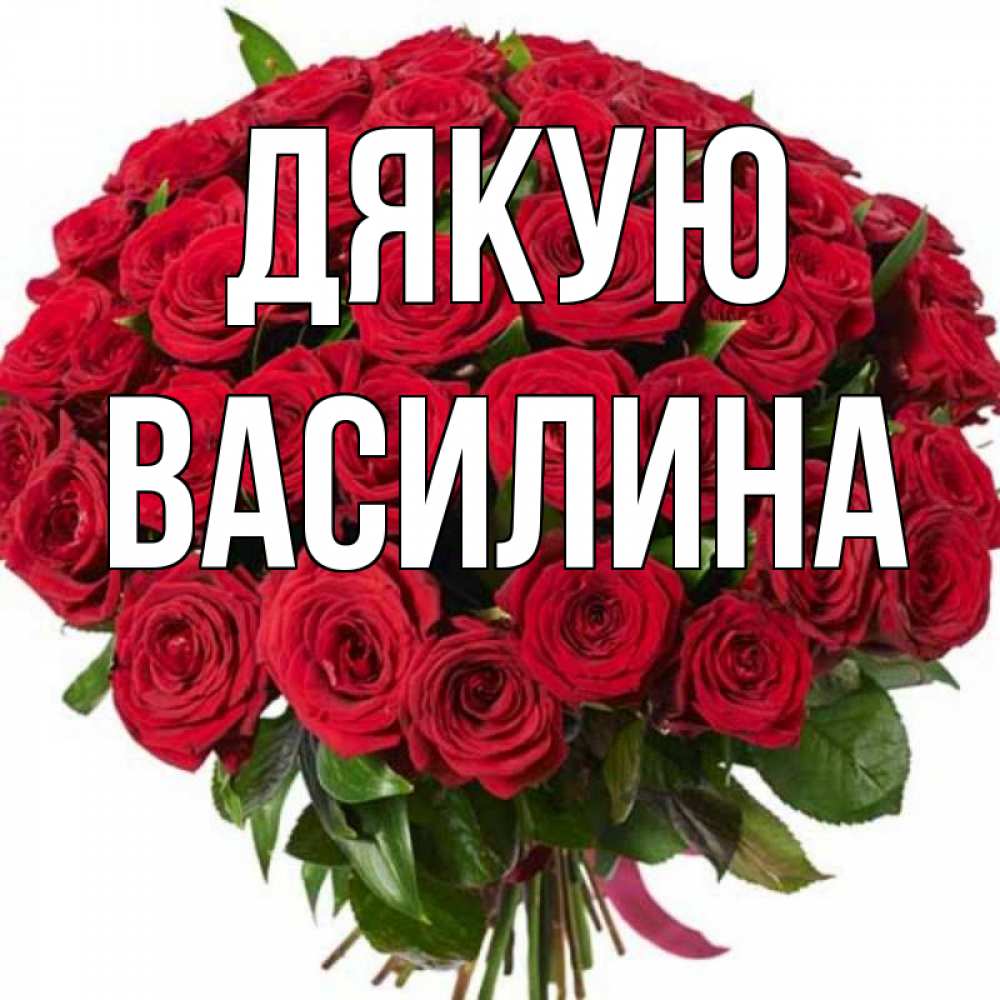 Открытка на каждый день з підписом, Василина Дякую букет красных роз Прикольна листівка з побажанням онлайн скачати безкоштовно 