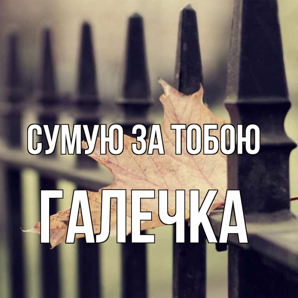 Открытка на каждый день з підписом, Галечка Сумую за тобою очень скучно Прикольна листівка з побажанням онлайн скачати безкоштовно 