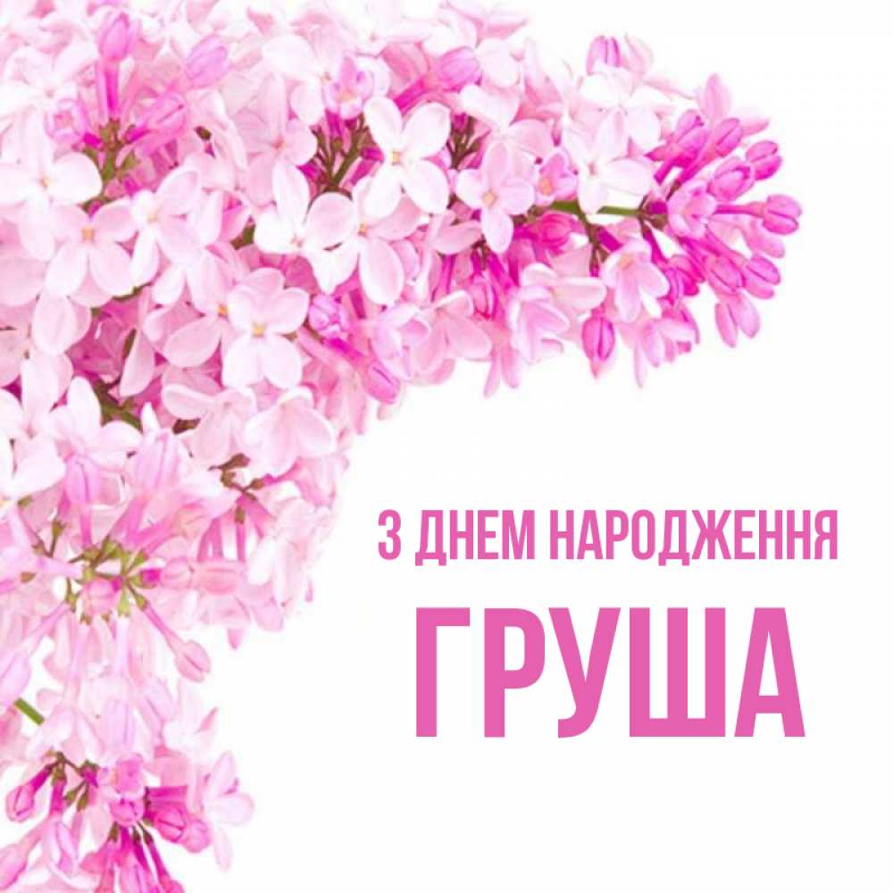 Открытка на каждый день з підписом, Груша З Днем народження Сирень на белом фоне Прикольна листівка з побажанням онлайн скачати безкоштовно 