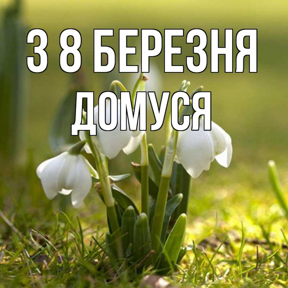 Открытка на каждый день з підписом, Домуся З 8 БЕРЕЗНЯ ранние цветы 2 Прикольна листівка з побажанням онлайн скачати безкоштовно 
