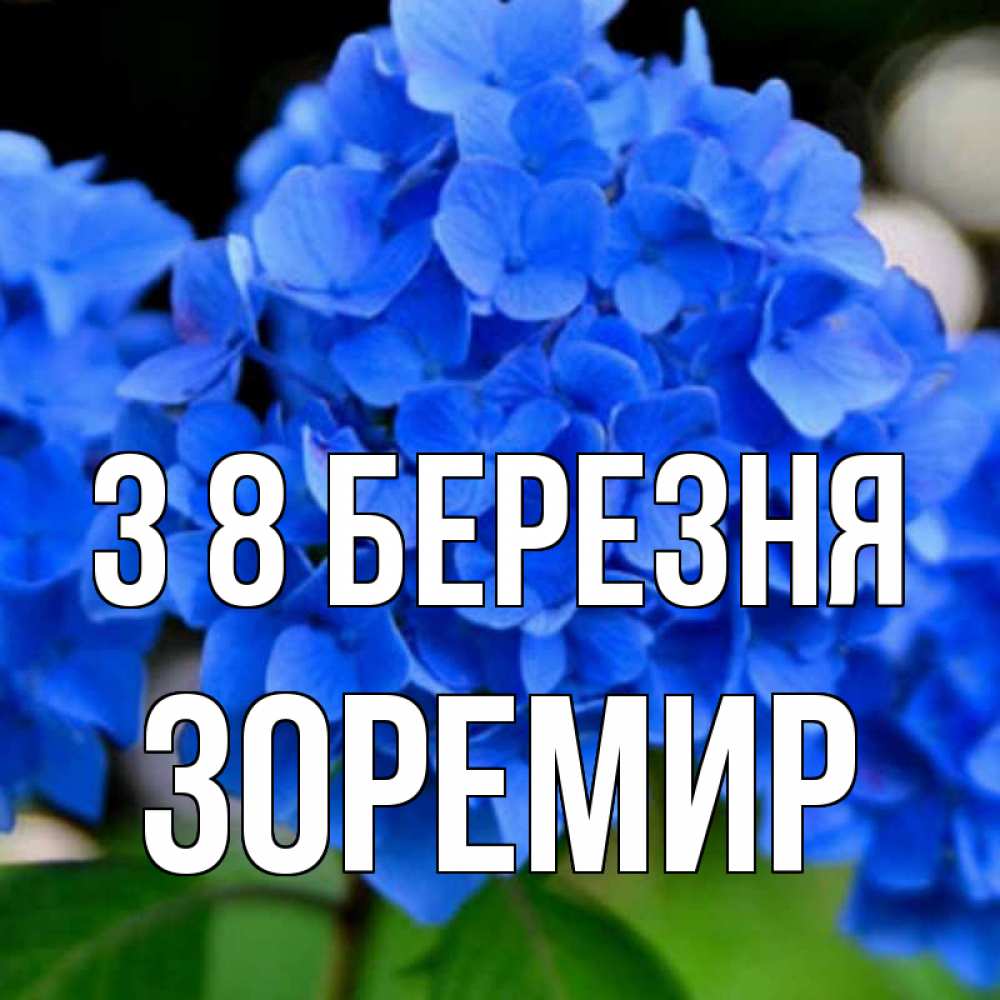 Открытка на каждый день з підписом, Зоремир З 8 БЕРЕЗНЯ синие цветы Прикольна листівка з побажанням онлайн скачати безкоштовно 