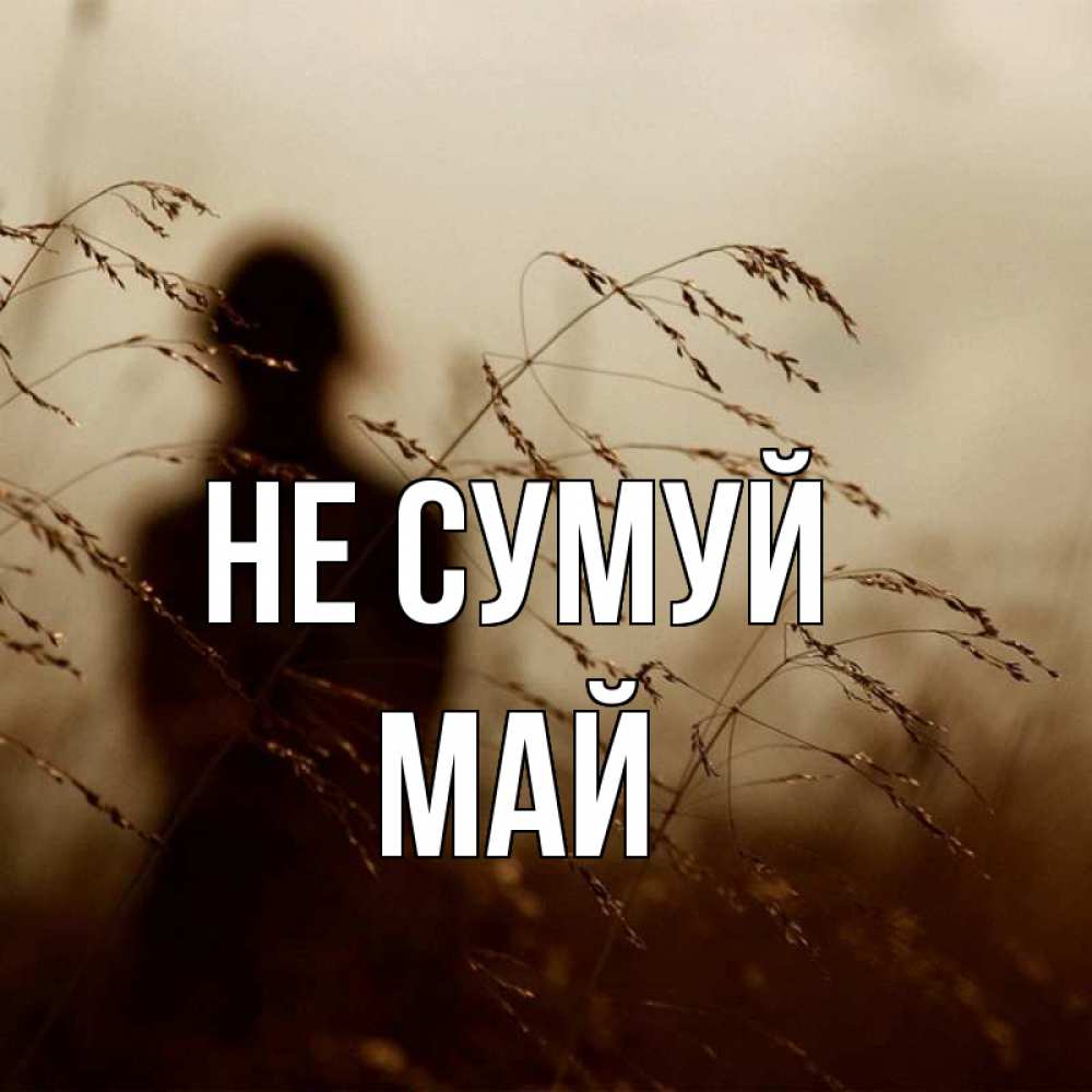 Открытка на каждый день з підписом, Май Не сумуй грусть Прикольна листівка з побажанням онлайн скачати безкоштовно 