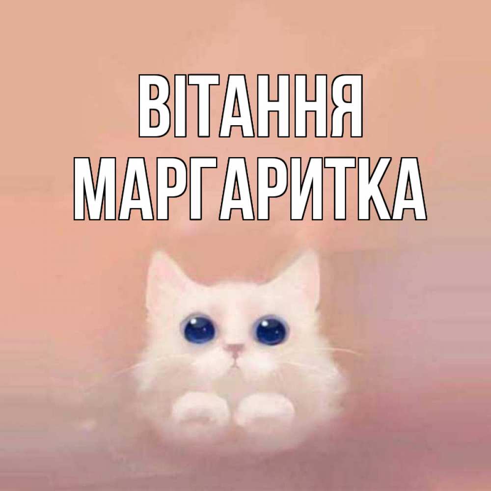 Открытка на каждый день з підписом, Маргаритка Вітання котик белый в полете Прикольна листівка з побажанням онлайн скачати безкоштовно 