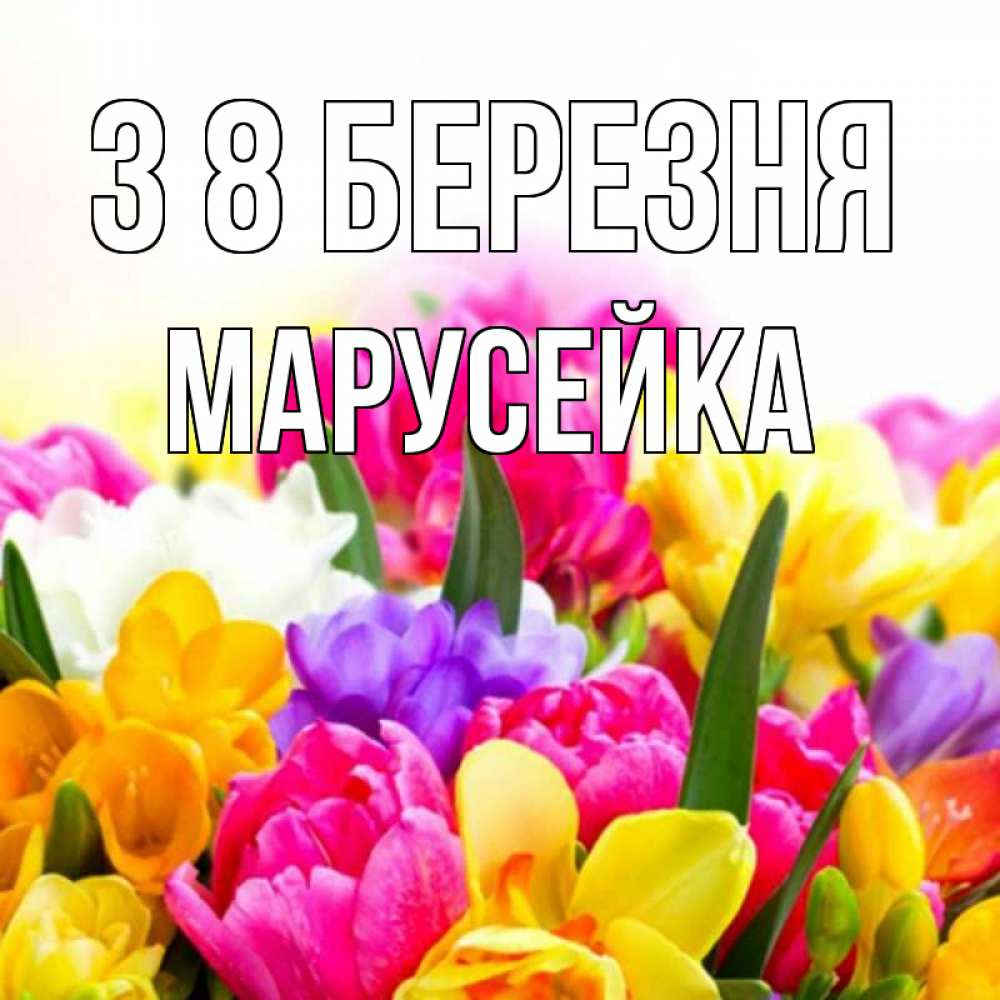 Открытка на каждый день з підписом, Марусейка З 8 БЕРЕЗНЯ тюльпаны Прикольна листівка з побажанням онлайн скачати безкоштовно 