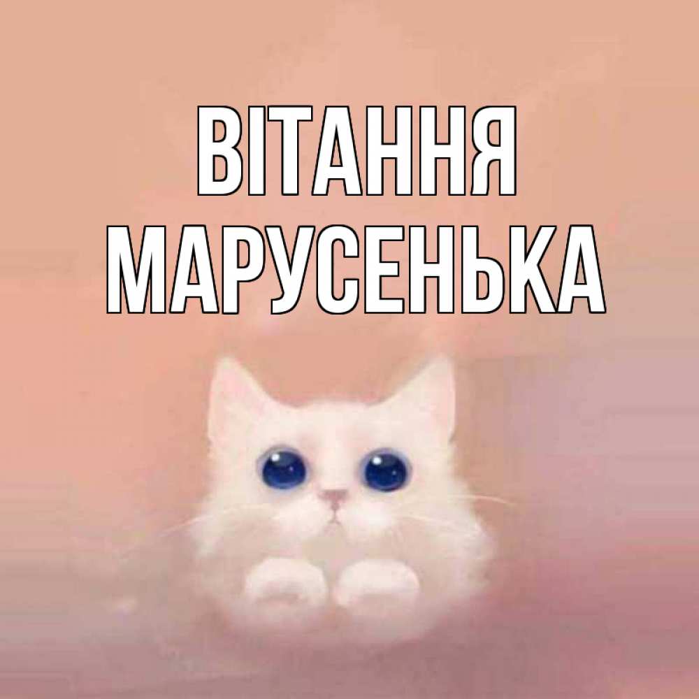 Открытка на каждый день з підписом, Марусенька Вітання котик белый в полете Прикольна листівка з побажанням онлайн скачати безкоштовно 