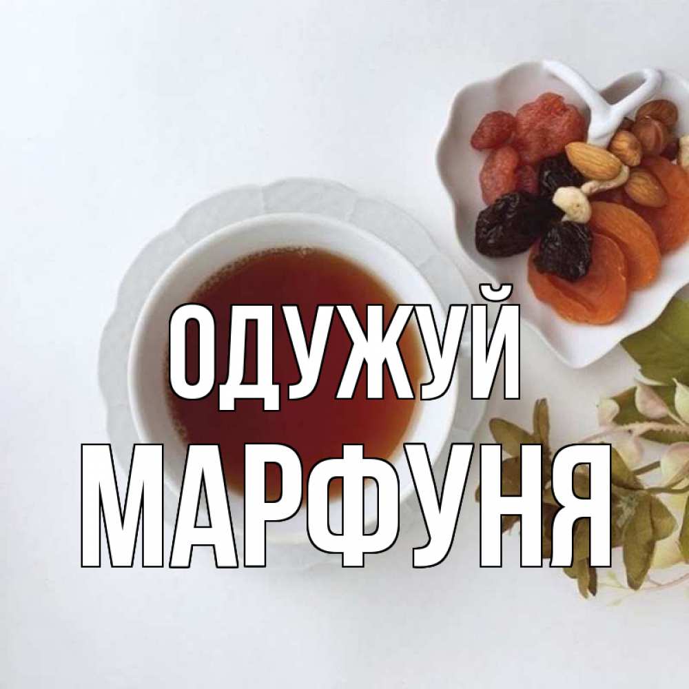Открытка на каждый день з підписом, Марфуня Одужуй неизвестные растения Прикольна листівка з побажанням онлайн скачати безкоштовно 
