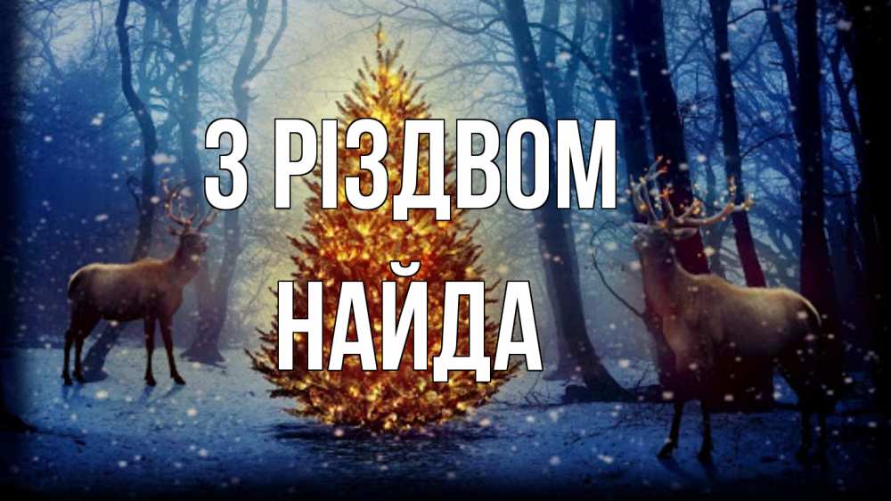 Открытка на каждый день з підписом, Найда З Різдвом олени, новогодняя елка Прикольна листівка з побажанням онлайн скачати безкоштовно 