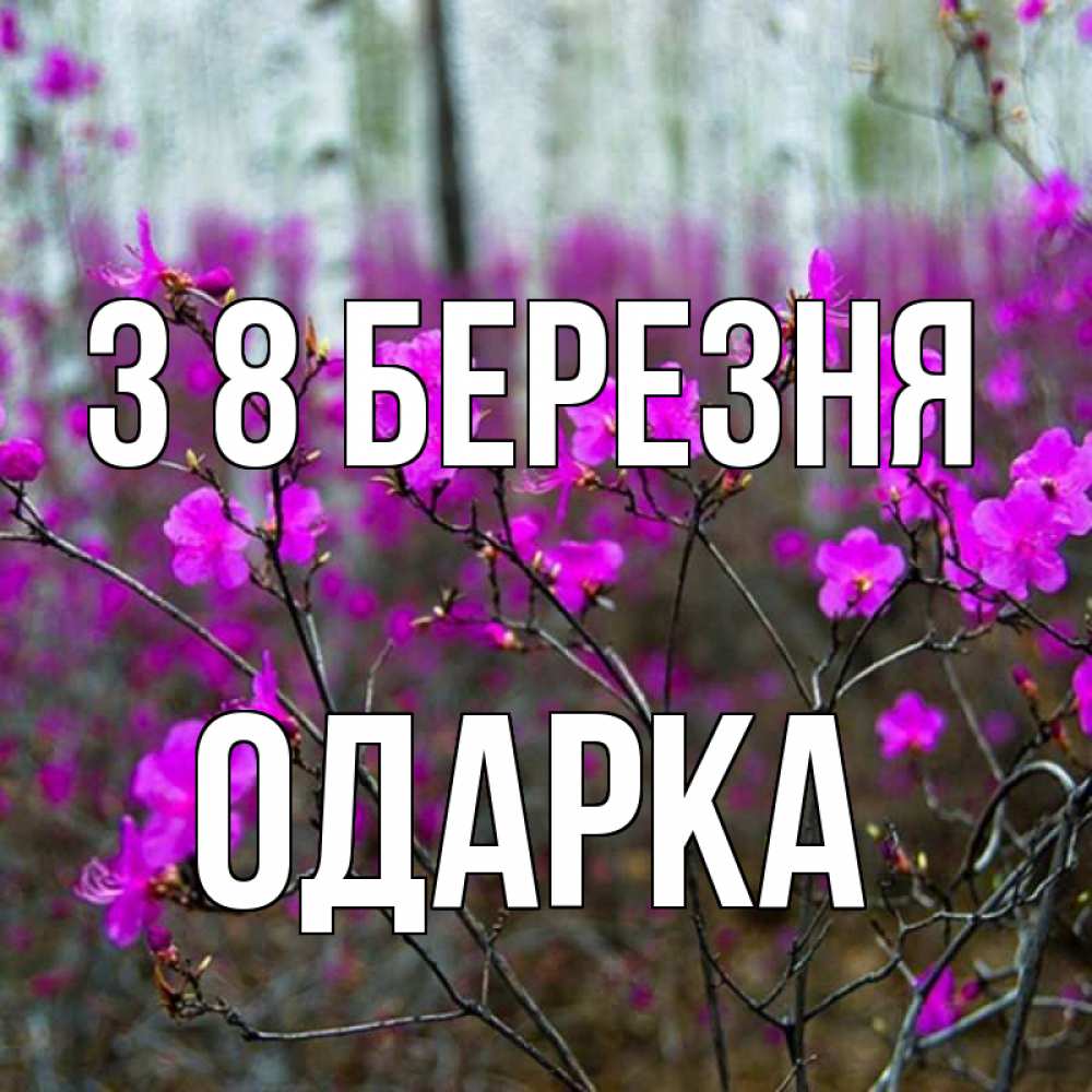 Открытка на каждый день з підписом, Одарка З 8 БЕРЕЗНЯ дикие цветы Прикольна листівка з побажанням онлайн скачати безкоштовно 