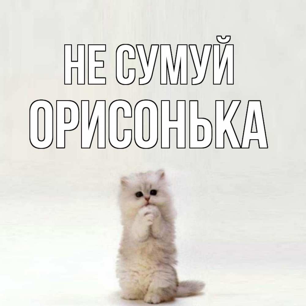 Открытка на каждый день з підписом, Орисонька Не сумуй грустный кот Прикольна листівка з побажанням онлайн скачати безкоштовно 