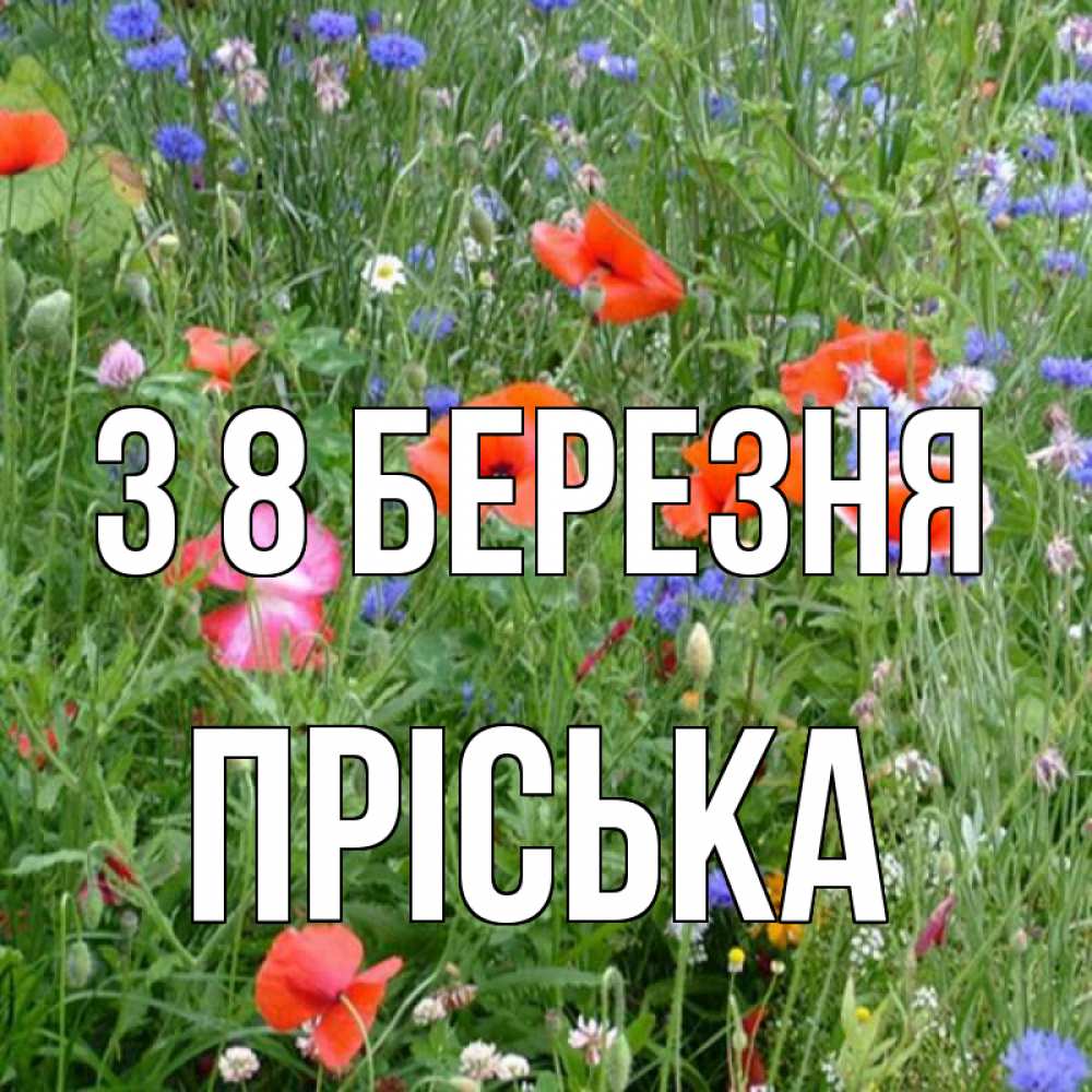 Открытка на каждый день з підписом, Пріська З 8 БЕРЕЗНЯ международный женский день 4 Прикольна листівка з побажанням онлайн скачати безкоштовно 