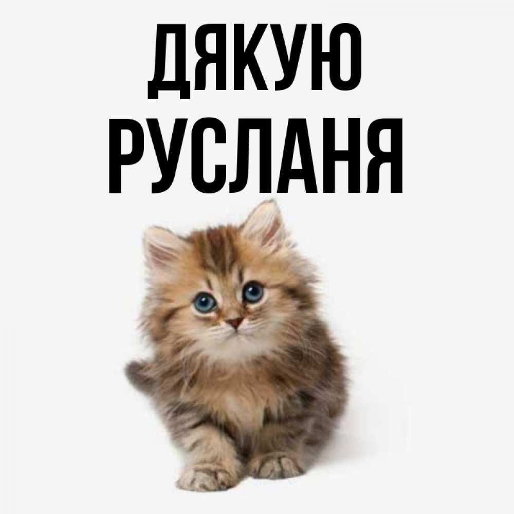 Открытка на каждый день з підписом, Русланя Дякую пушистый котик Прикольна листівка з побажанням онлайн скачати безкоштовно 