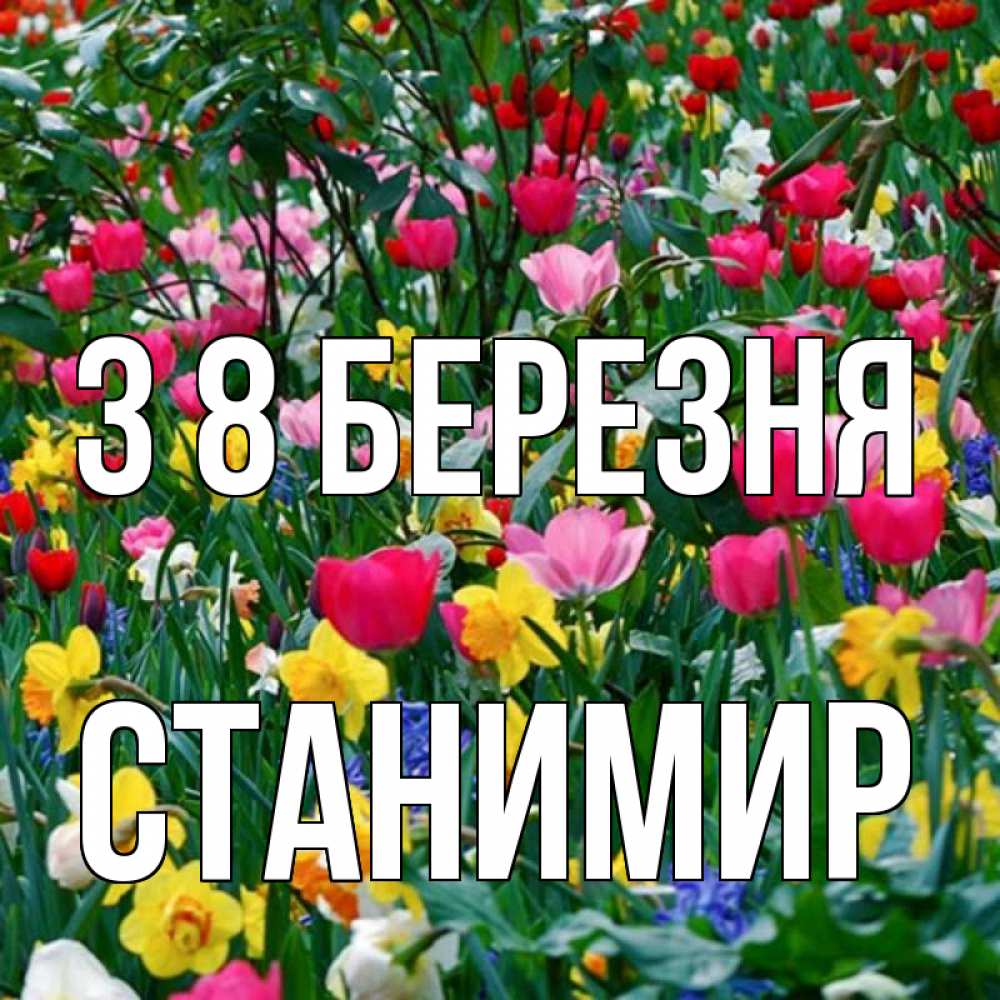 Открытка на каждый день з підписом, Станимир З 8 БЕРЕЗНЯ с международным женским днем поздравления для женщины Прикольна листівка з побажанням онлайн скачати безкоштовно 