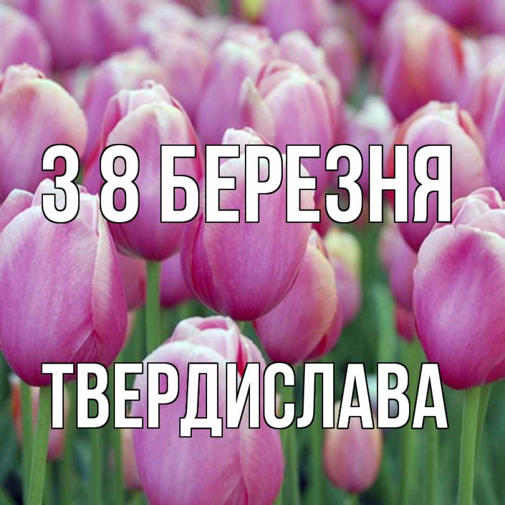 Открытка на каждый день з підписом, Твердислава З 8 БЕРЕЗНЯ на международный женский день 3 Прикольна листівка з побажанням онлайн скачати безкоштовно 