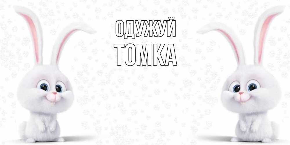Открытка на каждый день з підписом, Томка Одужуй не болей с зайцем Прикольна листівка з побажанням онлайн скачати безкоштовно 