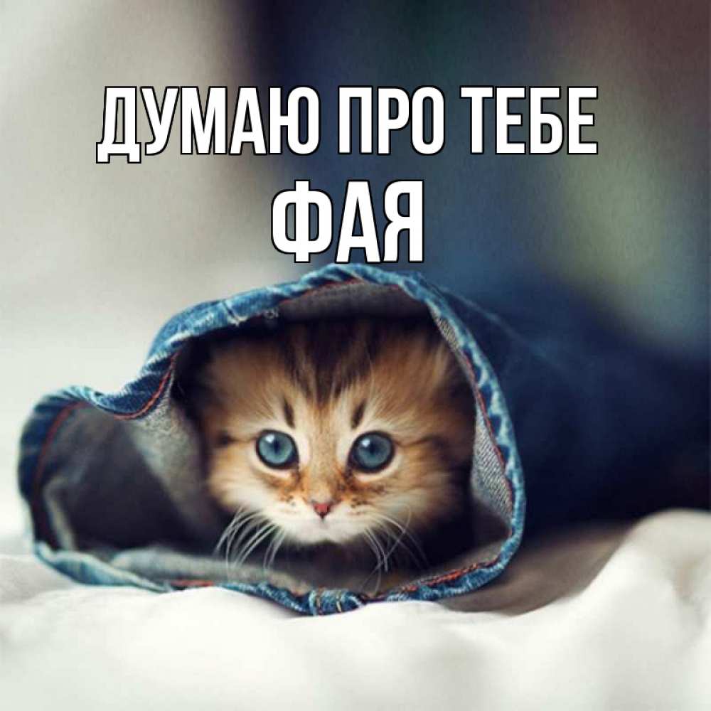 Открытка на каждый день з підписом, Фая Думаю про тебе мне без тебя плохо Прикольна листівка з побажанням онлайн скачати безкоштовно 