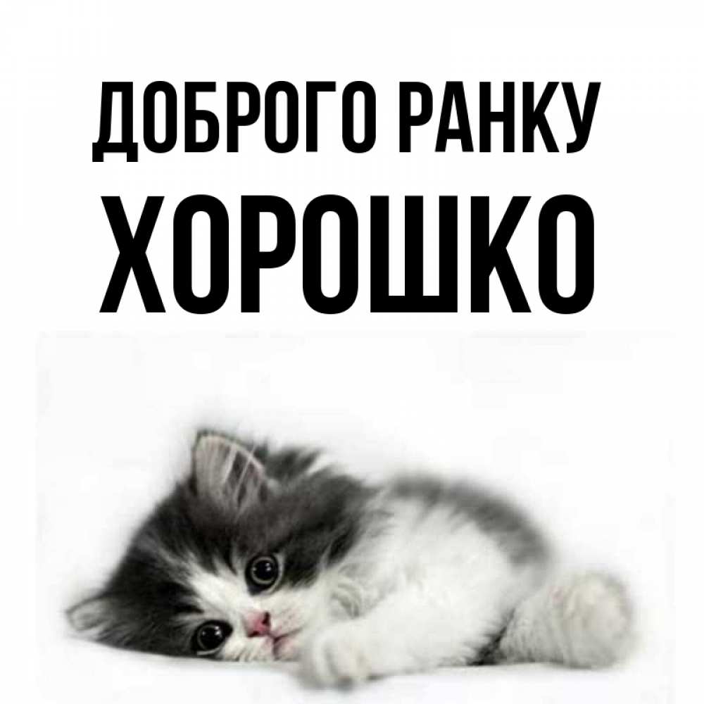 Открытка на каждый день з підписом, Хорошко Доброго ранку кот лапки Прикольна листівка з побажанням онлайн скачати безкоштовно 
