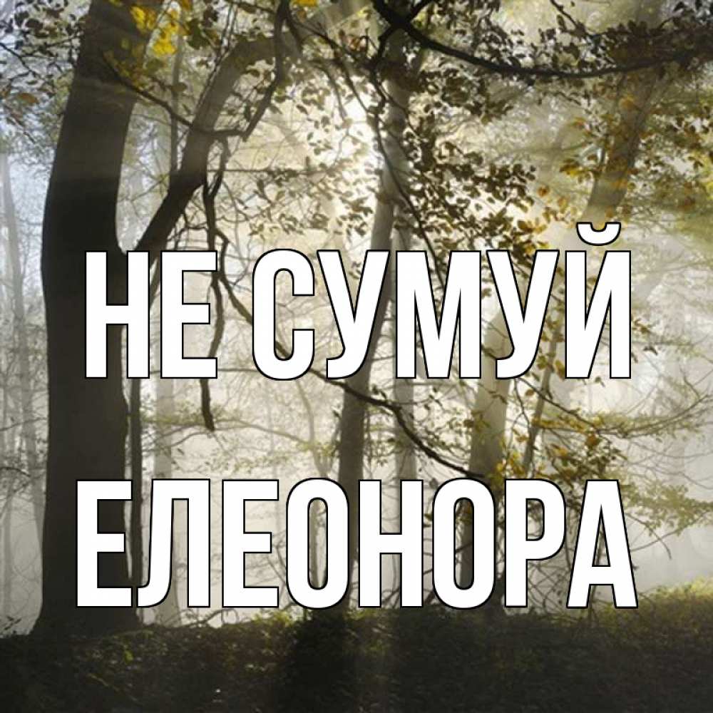 Открытка на каждый день з підписом, Елеонора Не сумуй лес и свет Прикольна листівка з побажанням онлайн скачати безкоштовно 
