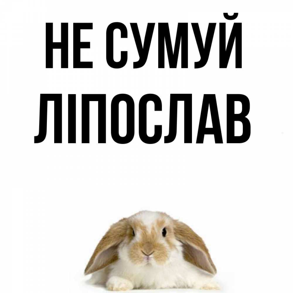 Открытка на каждый день з підписом, Ліпослав Не сумуй коричнево белый заяц с большими ушками Прикольна листівка з побажанням онлайн скачати безкоштовно 