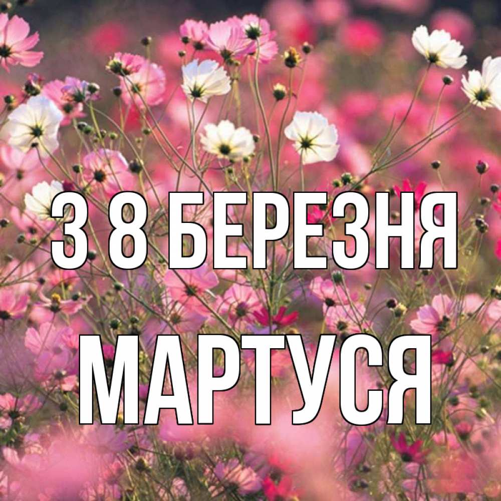 Открытка на каждый день з підписом, Мартуся З 8 БЕРЕЗНЯ красиво 1 Прикольна листівка з побажанням онлайн скачати безкоштовно 