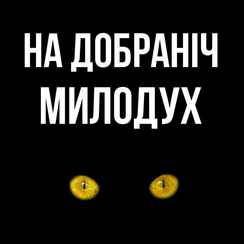 Открытка на каждый день з підписом, Милодух На добраніч сладких снов бесстрашный мой дружочек Прикольна листівка з побажанням онлайн скачати безкоштовно 