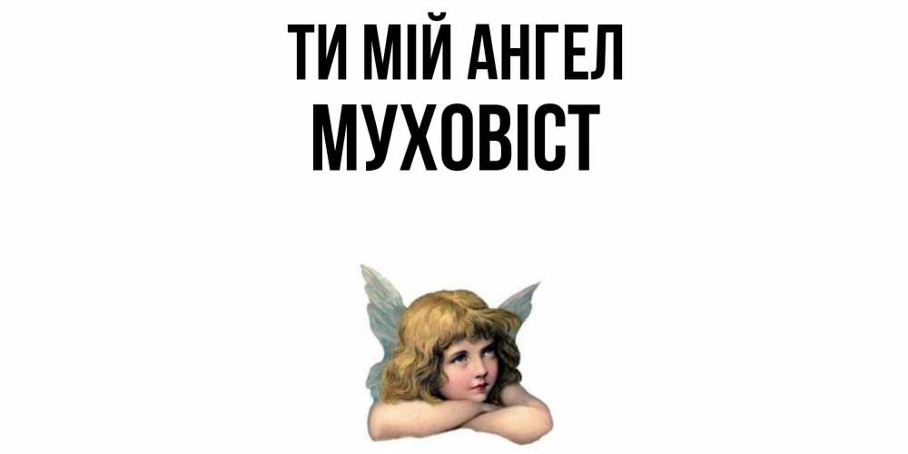 Открытка на каждый день з підписом, Муховіст Ти мій ангел ангел Прикольна листівка з побажанням онлайн скачати безкоштовно 