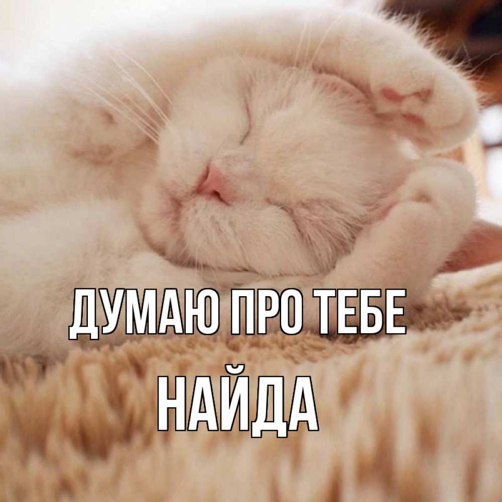 Открытка на каждый день з підписом, Найда Думаю про тебе для любимой девушки милота Прикольна листівка з побажанням онлайн скачати безкоштовно 