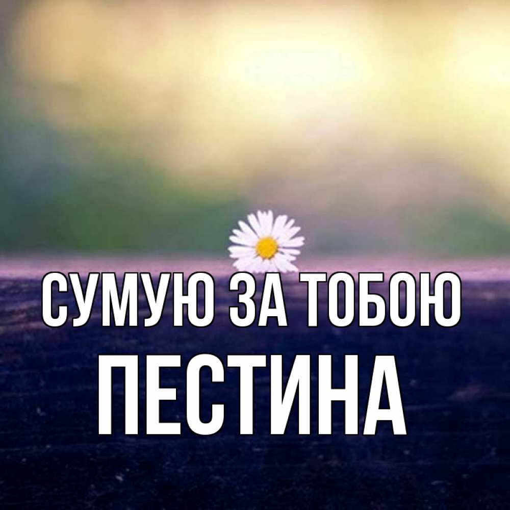 Открытка на каждый день з підписом, Пестина Сумую за тобою приходи в гости Прикольна листівка з побажанням онлайн скачати безкоштовно 